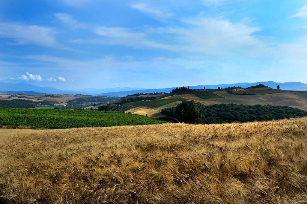La Canonica San Giovanni dʼAsso المظهر الخارجي الصورة